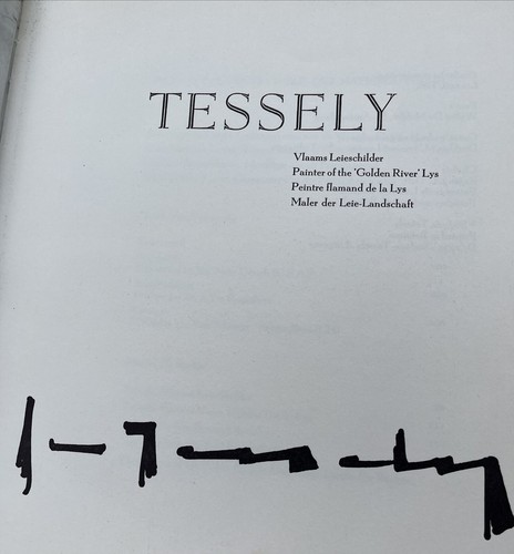 Stefaan TESSELY Belgian Artist HUGE Monograph Coffee table Art Book 1970 - Imagen 3 de 10