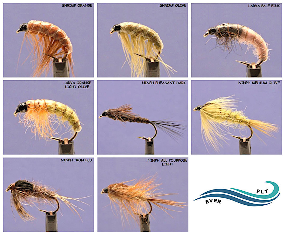 Pesca Mosche Gamberetti E Strisciando Ninfe Dodici Confezione Misura 8 - Foto 8