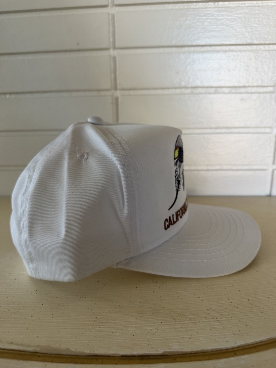 Vintage California Waterfowl A-Frame SnapBack Hat Youngan Snap View 4
