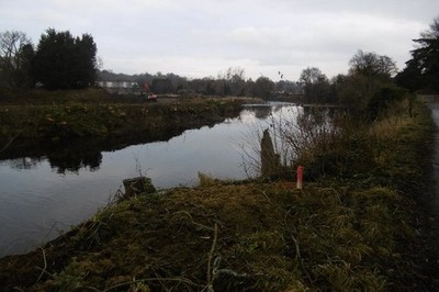 Photo 6x4 River Almond Lochty/NO0625 Trees have been cut down as part of c2016