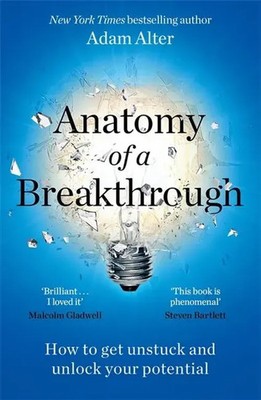 Anatomy of a Breakthrough | How to get unstuck and unlock your potential | Alter