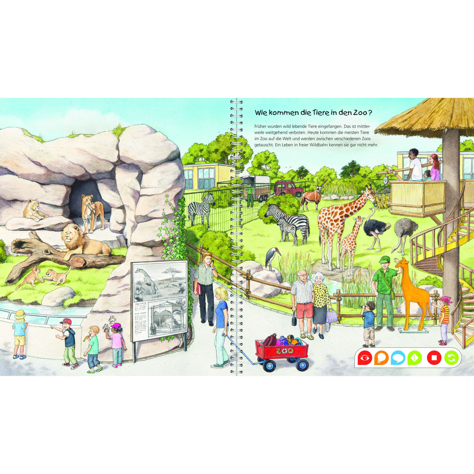 Thumbnail - Ravensburger Lernbuch Tiptoi Wieso? Weshalb? Warum? Entdecke Den Zoo