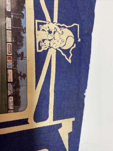Rare 1971 Vintage Minnesota Twins Baseball Mlb 11.5x29.5 Pennant Flag - Picture 4 of 12