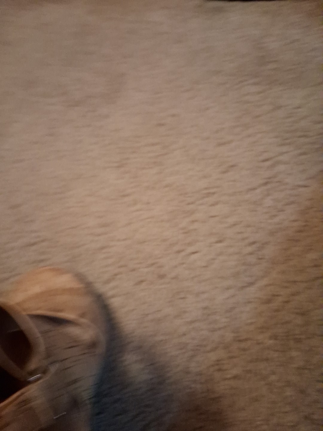 Sofft Sandals - image 4