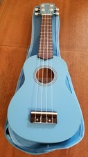 Everjoys Ukulele Hawaii Beginner Pack 21 Inch w/Gig Bag and Manual