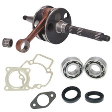 NEU Kurbelwelle Lager Set Piaggio ZIP 25 50 Typ SSL1T C06 C07 C25 Bj. 1991-2016