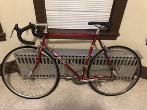 1980s Vintage Eddy Merckx Columbus Slx Racing Bike Ebay