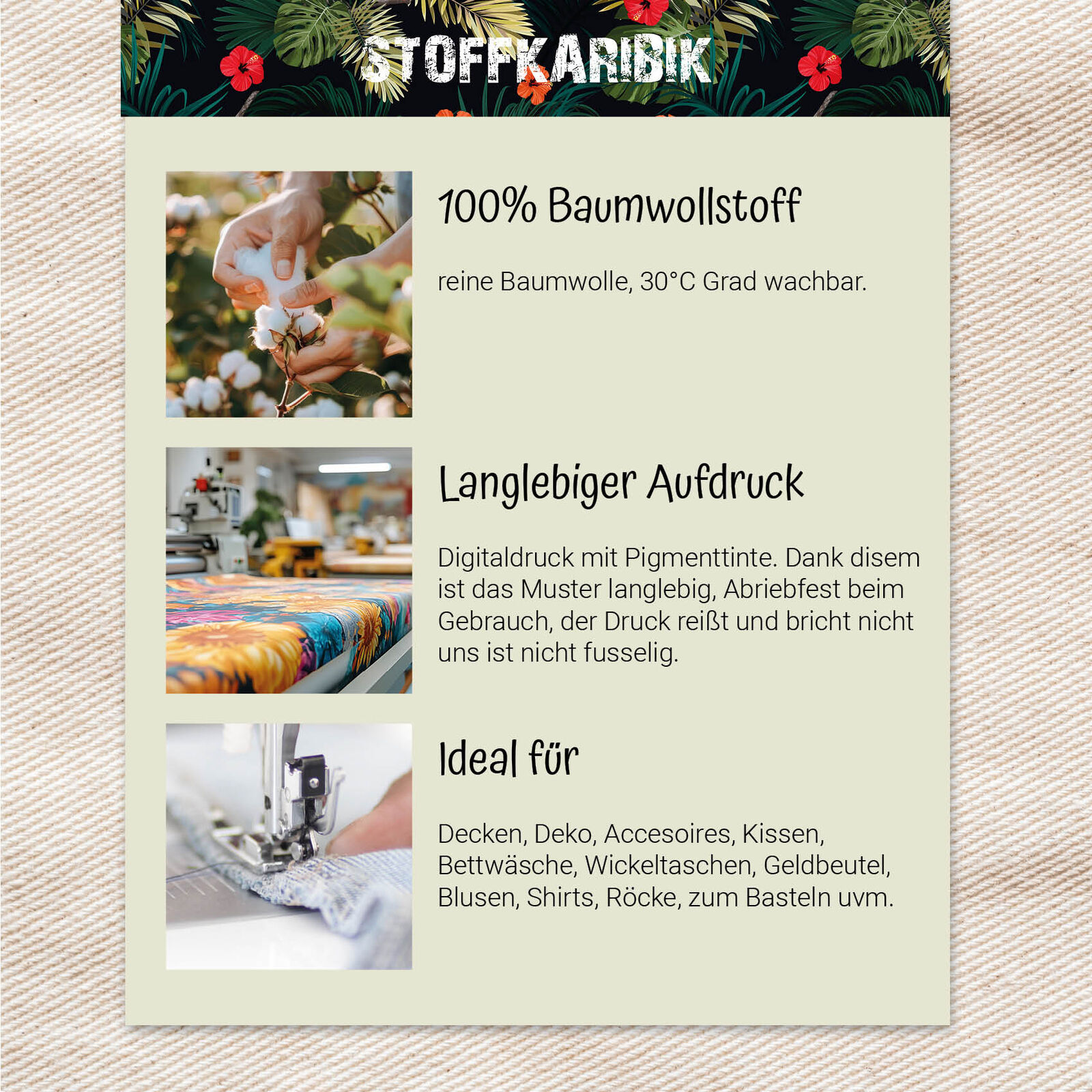 Bild 3 von 5
