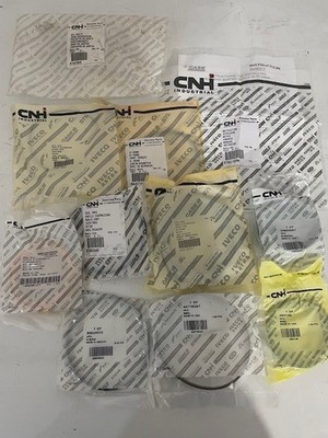 Original NEU CNH Case Lader Schaufel Kippzylinder Dichtsatz 87442965 721 D E F 621