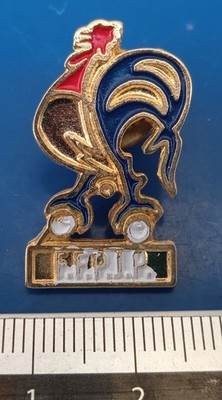 Pin's Französischer Bouleverband und provenzalisches Spiel FFPJP Hahn Trikolore
