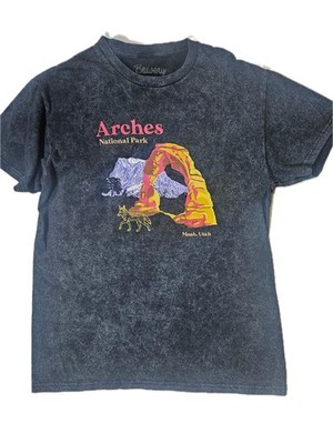 Arches National Park Shirt Mens Medium Gray Bowery Graphic Tee Moab Utah