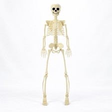 Halloween Skeleton Posable Prop 3 Ft 36 Inch Full Body Haunted House Party Decor