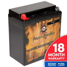 YTX16-BS-1 Rechargeable Power Sports ATV Battery Suzuki LTA500F QuadMaster 00-01