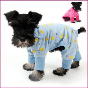 my dog keeps throwing up undigested food