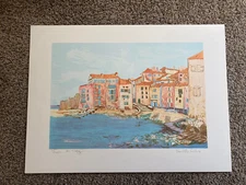 Daniele Fuchs LITHOGRAPH Signed In Pencil 21.5” x 28.5”