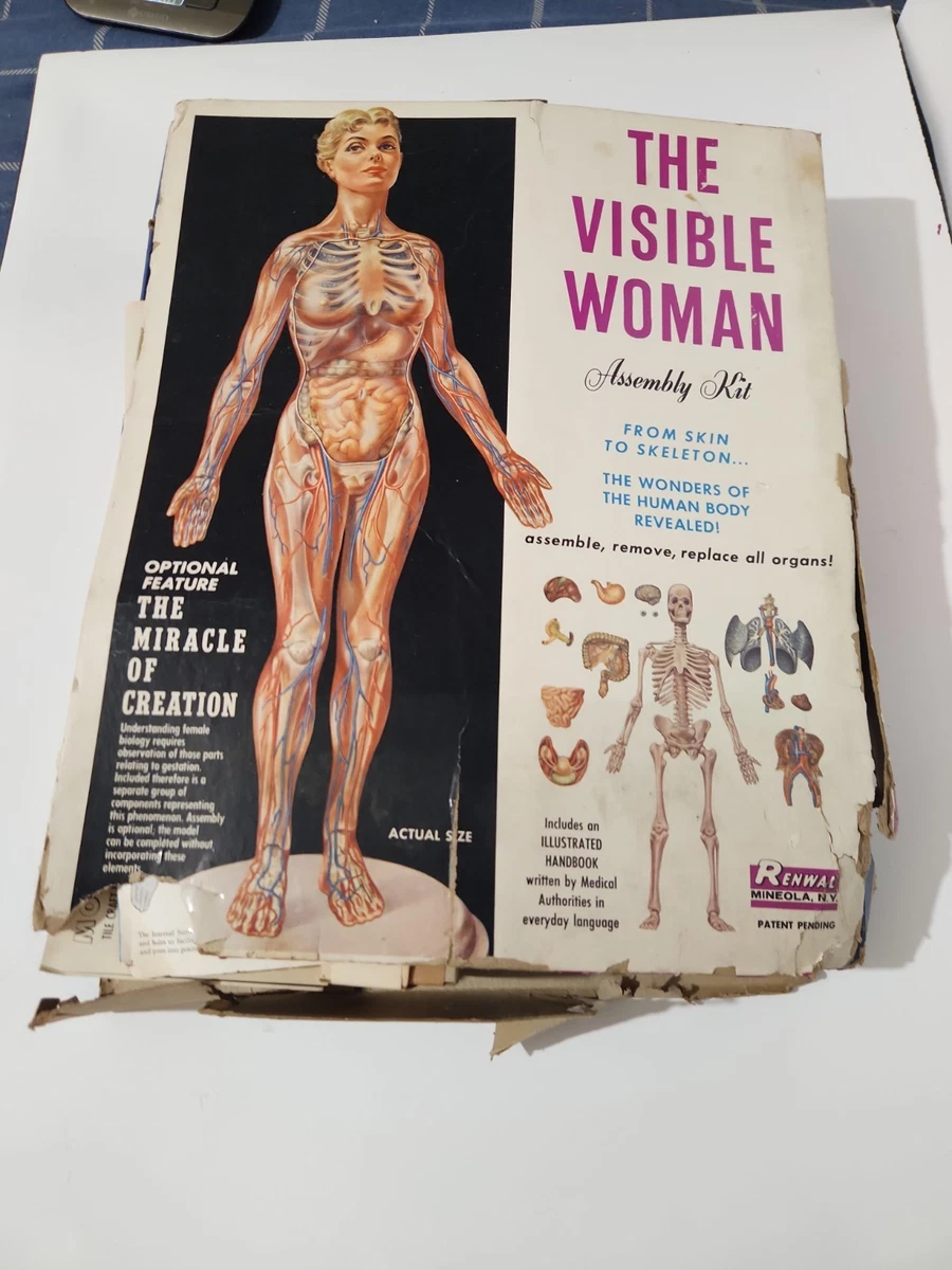 visible woman products for sale | eBay
