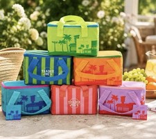 Trader Joes Mini Insulated Cooler Bag May 202...