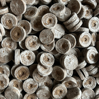 #ad #ad Jiffy Peat Pellets 30mm Organic Seed Starting Choose 10 25 50 100 Packs $31.99