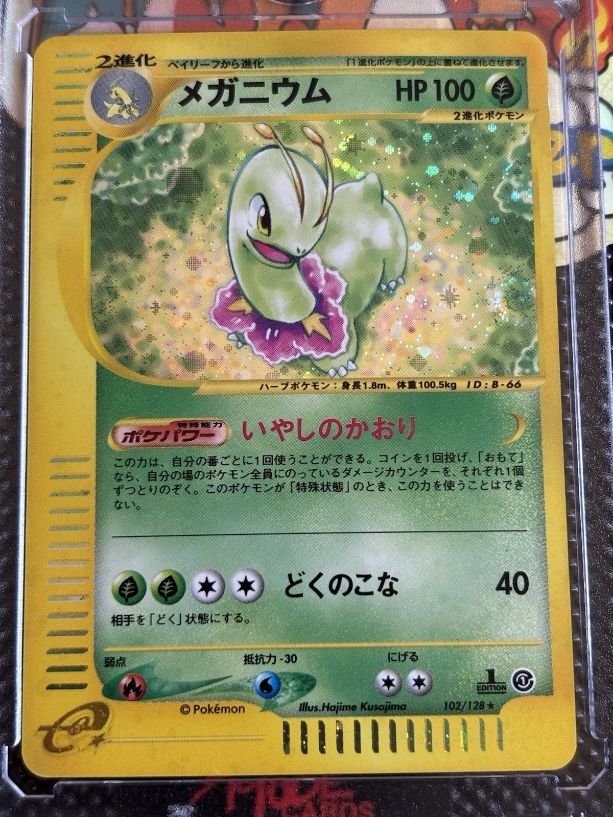 Meganium 102/128 Base Expansion Pack Holo Rare Japanese 1st Ed 100 HP
