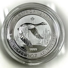 2025 Canada Goose 2 oz 0.9999 BU Silver Coin in capsule