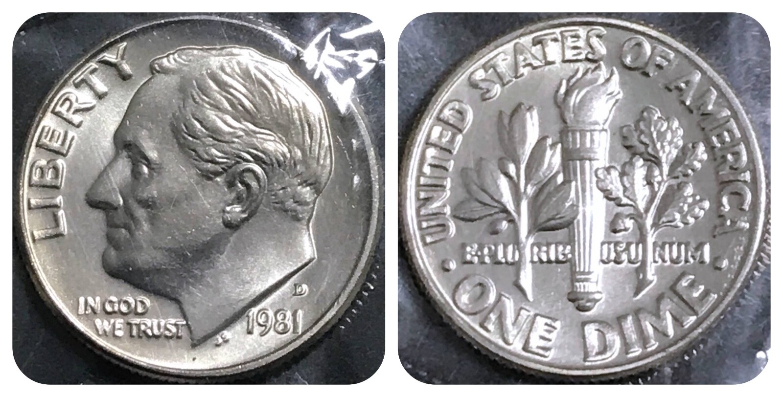 Picture 7 of 12