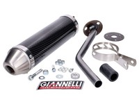 EndschalldäMpfer Giannelli Carbon FüR Rieju Mrx, Smx, RRX 50 02-03