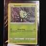 2022 Pokemon Basic Spinarak