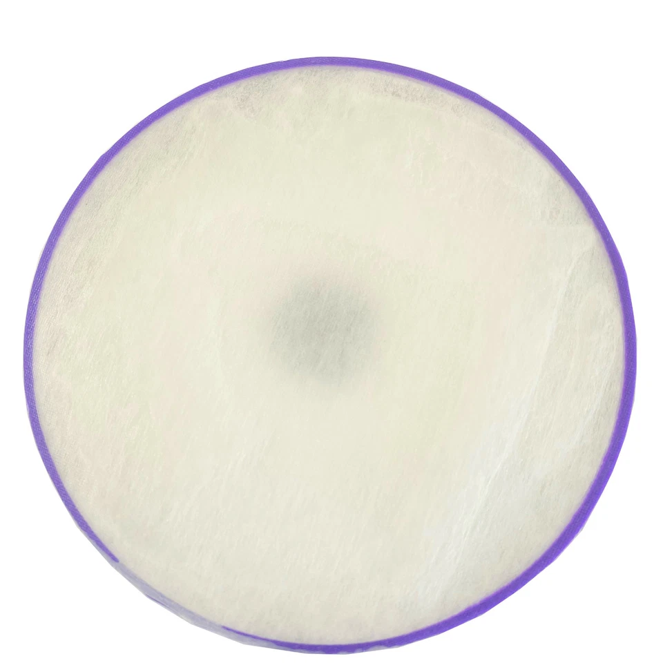 Filtro Hepa de poste de combustible compatible con Dyson DC07 DC14 DC15 (paquete de 1/2) Foto 2 de 4