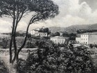 Foto 2 di 3