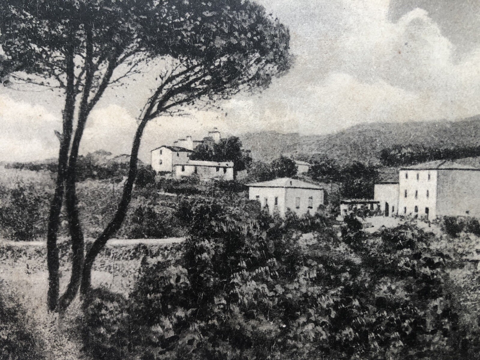 Foto 2 di 3
