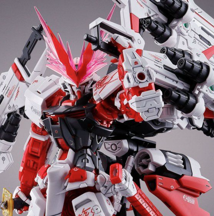 MG 1/100 Gundam Astray Red Dragon pre-order limited JAPAN New | eBay