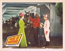 PRIDE OF MARYLAND Original Lobby Card 6 Frankie Darro Horse Racing 1951