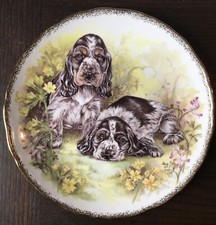 👑Royal Vale 👑Bone China