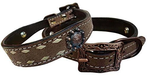 Couture clearance dog collars