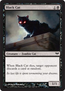 Black Cat x4 - Dark Ascension - NM-Mint, English - Dark Ascension