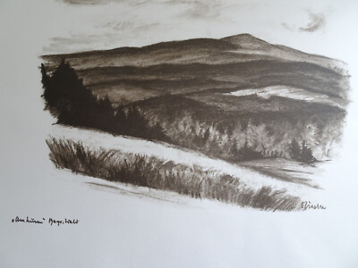 Otto Zieske - Lusen -Bayerischer Wald. Lithographie, bezeichnet und signiert
