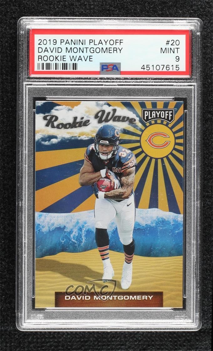 David Montgomery Panini Playoff Rookie Wave #20 Base