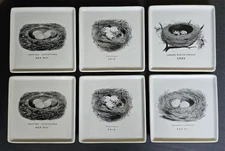 6 Square Porcelain Songbird Nest Eggs Motif Appetizer Tapas Dessert Plates 5.5"