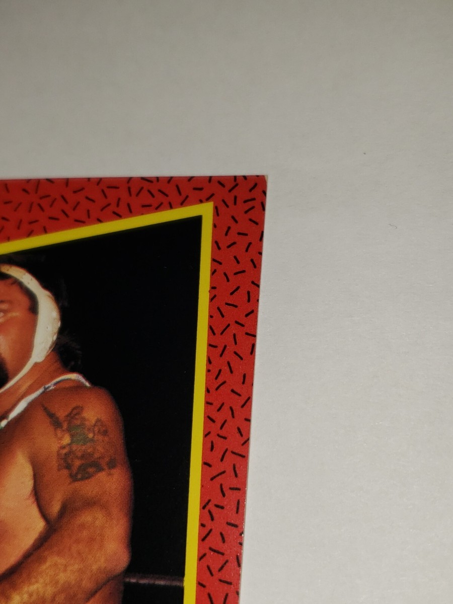 WCW カード 72枚 1991 WCW #116 Rick Steiner Brothers Red Border Impel