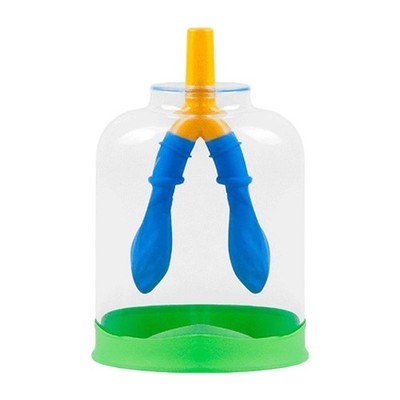 Lungenatmung Demonstrationsmodell Biologie Unterricht Requisiten für Schule Geschenk