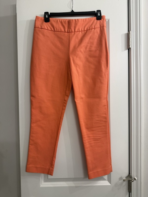 Investments Petites Orange Pants Size 6P