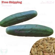 Marketmore Cucumber Seeds | NON-GMO, Organic | Vegetable Seeds