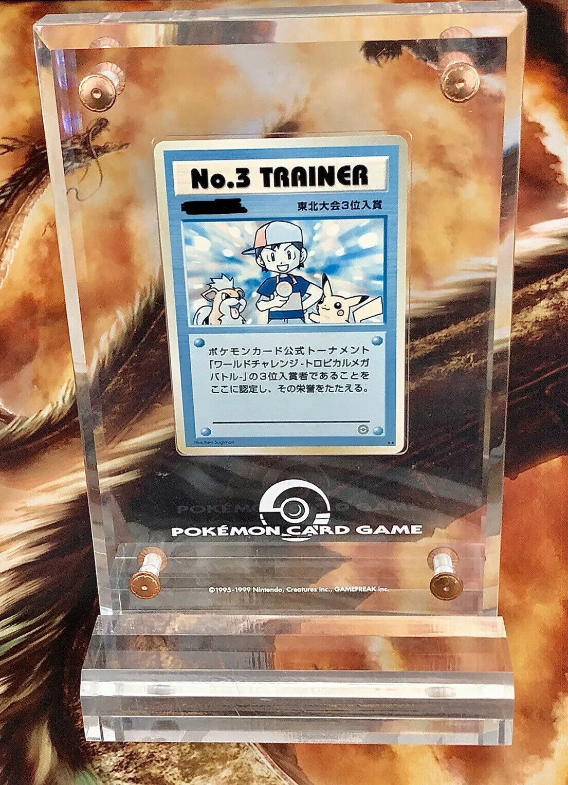 2001 Pokemon Trainer No.3 Tropical Mega Battle Road TMB Trophy Prize Card -M/NM