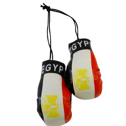 High Quality Country Flag MINI BOXING GLOVES - Rear View Mirror Gloves - New - Picture 50 of 134