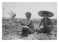 Homing Pigeon Returns to Sergeant Signal Corps China 1944