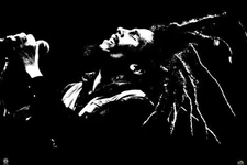 638677 Bob Marley Black And White Iconic Jamaican Rasta Wall Decor Poster