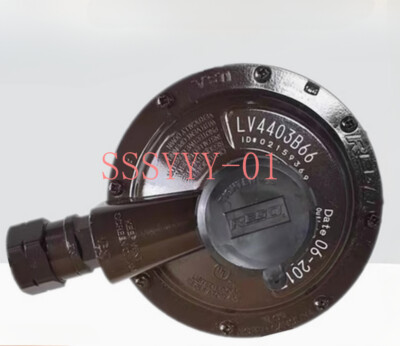 1PCS New REGO LV4403B66 LP-Gas Regulator 450L Compressed Gas Regulator