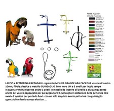 LACE and PARROT HARNESS SIZE LARGE COCKATOO ARA PLASTIC BUCKLES xxx