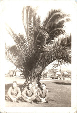 1940s WWII Soldiers Palm Tree Photo Military Men Antique Vintage Photo