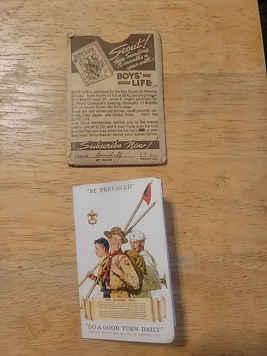 scout card sleeves Grand Archive Art Sleeves 100ct Nia